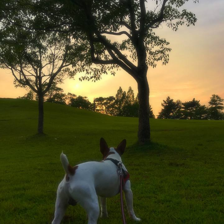 1fb65749 2fb4 46f9 967b 63d6479f4bd2