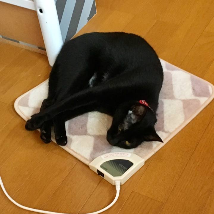 1fb66db6 c9d7 45dc a4f2 3af89a8cb781