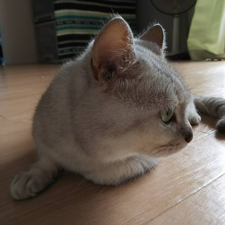 1fb66ed2 7ec5 4f9d badd 81491c2fe104