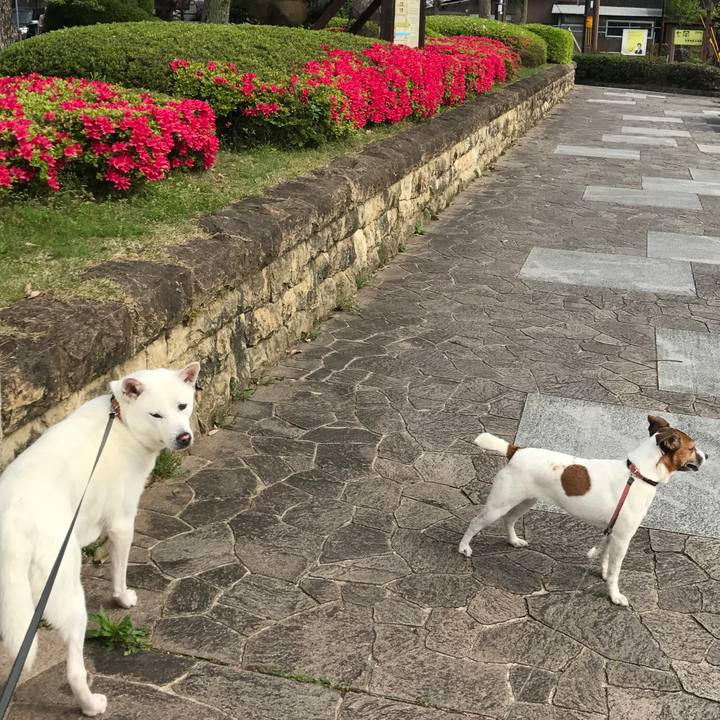 1fb6bdae 36b5 4861 9543 6ddb111138cd