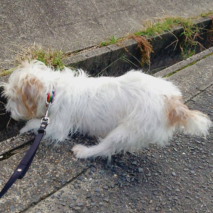 1fb6df76 7761 469b b6c3 cd2b51f4f306