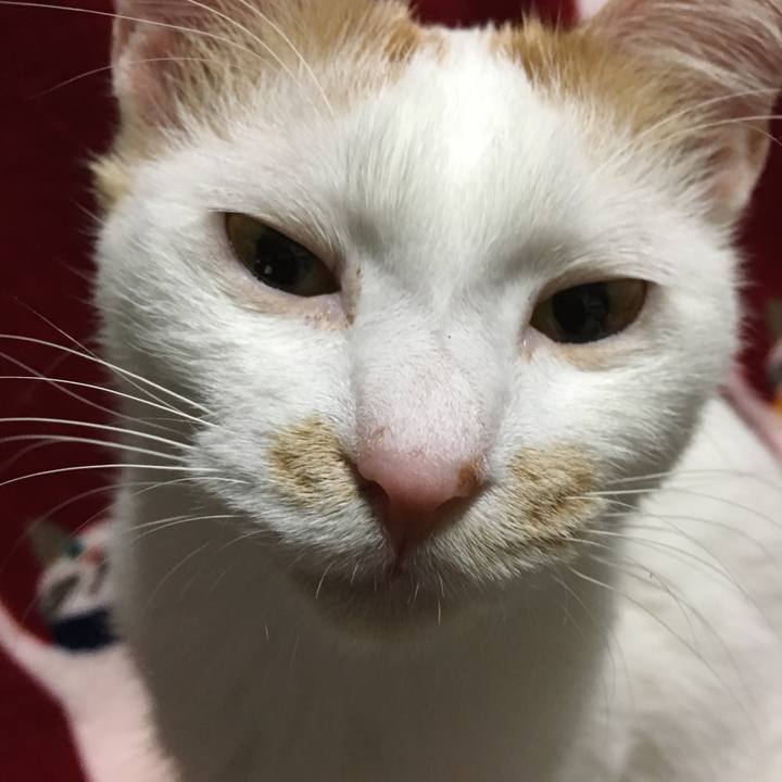 1fb71106 9438 433c 9b25 e92c3cf1ecac