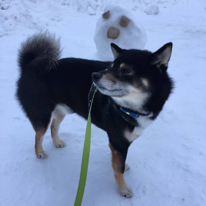 1fb778ae 6aaf 4ab2 8c91 ae61737000f5