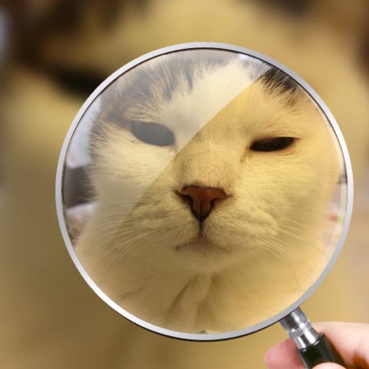 1fb78f66 5f07 4ba6 9b42 400218602aed