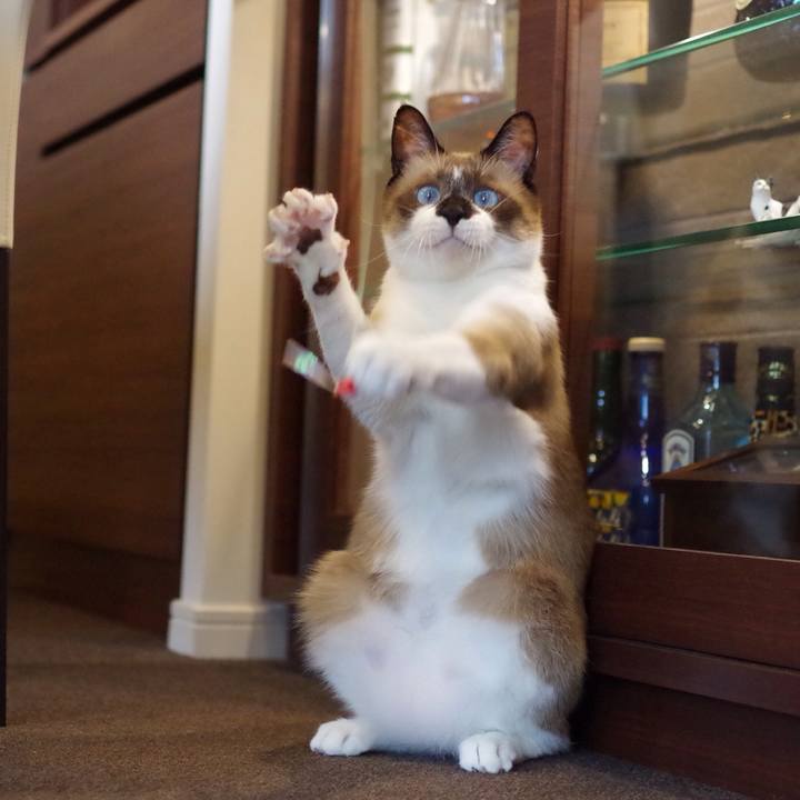 1fb80c33 44eb 42ad 9658 996c89abc49d