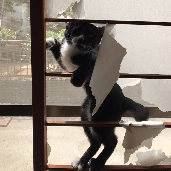 1fb94db1 ac1d 482b a3de 94f3894c6770