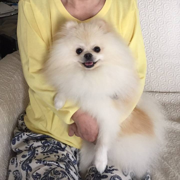 1fb95e74 03ed 4beb a8a3 814db942ce30