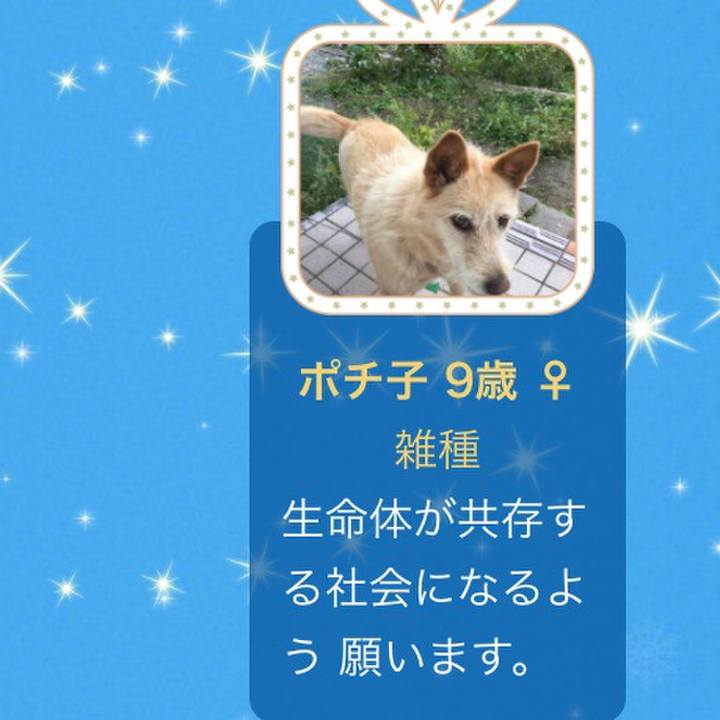 1fb9a366 3abe 481d a3cd f2f6e879f167