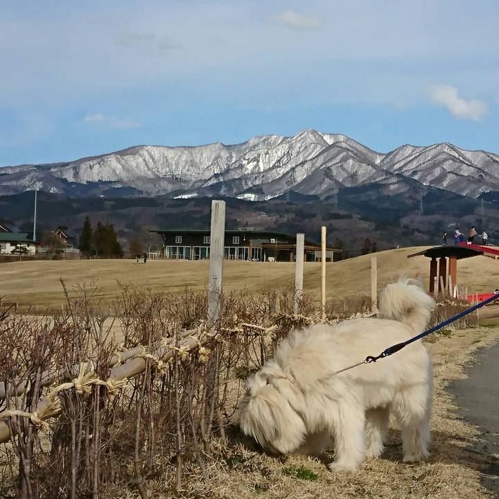 1fba3b3c f4e8 46f5 b8d8 fdff9b1d568c