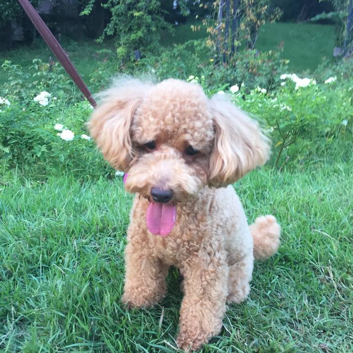 1fba7736 bc27 4ecb 9e4a e8c375d0c5c7