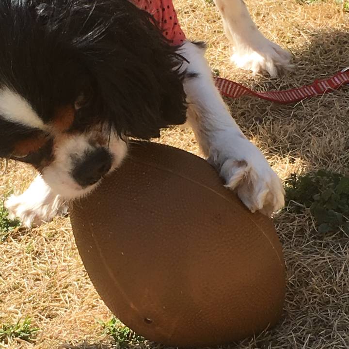 1fbae23e 6ab8 49b3 a81f 39aff7f1a1e5