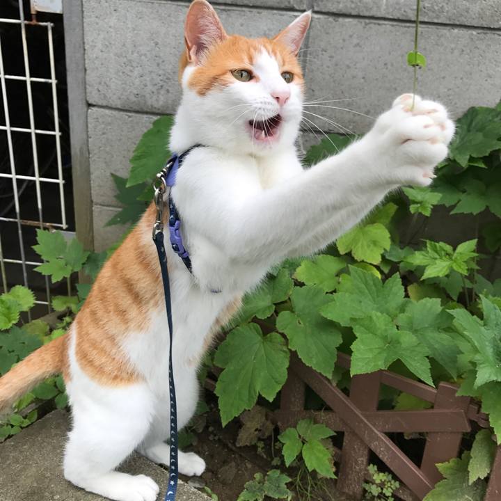 1fbae2b3 4abd 4ed4 bd21 8b9e1c4bffbf