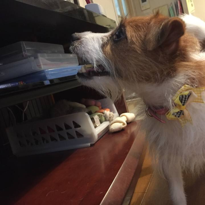 1fbaed92 82e1 4bd9 81b4 b7b67b7dbfd5