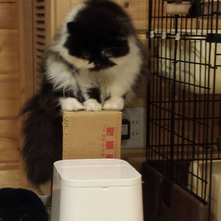 1fbb4653 1f59 4fef bb0d de9711d4180a