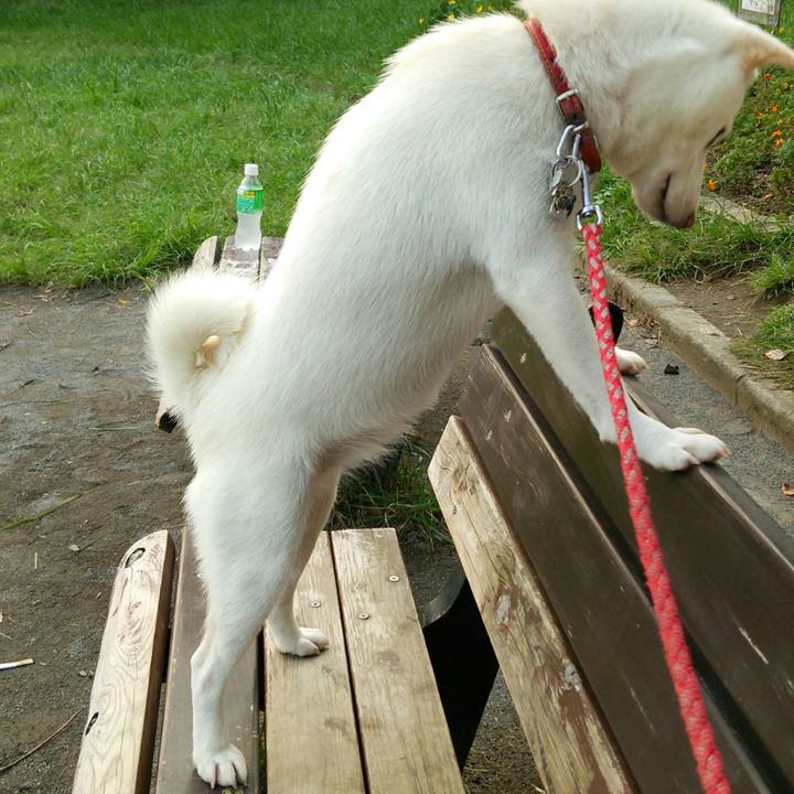 1fbb85df 5139 46b4 b13c 583bffc7f144