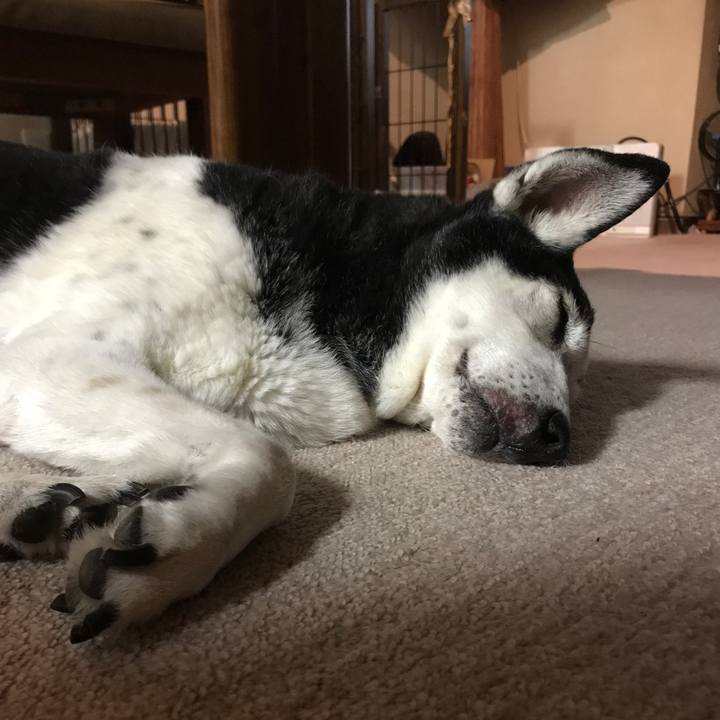 1fbbbfbe b1ef 4d1c b0bc c88984daebea