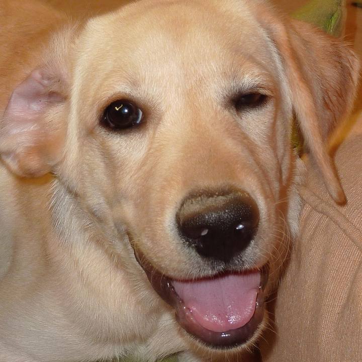 1fbbeb9c 6575 4e38 901a 1231efb9e3f1