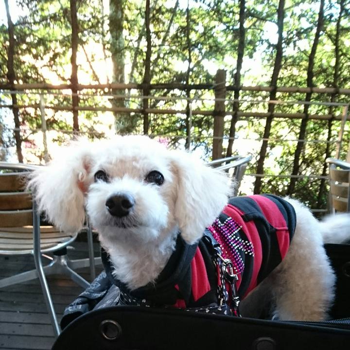 1fbbecee fcab 48e2 9be6 e405b3a3caba