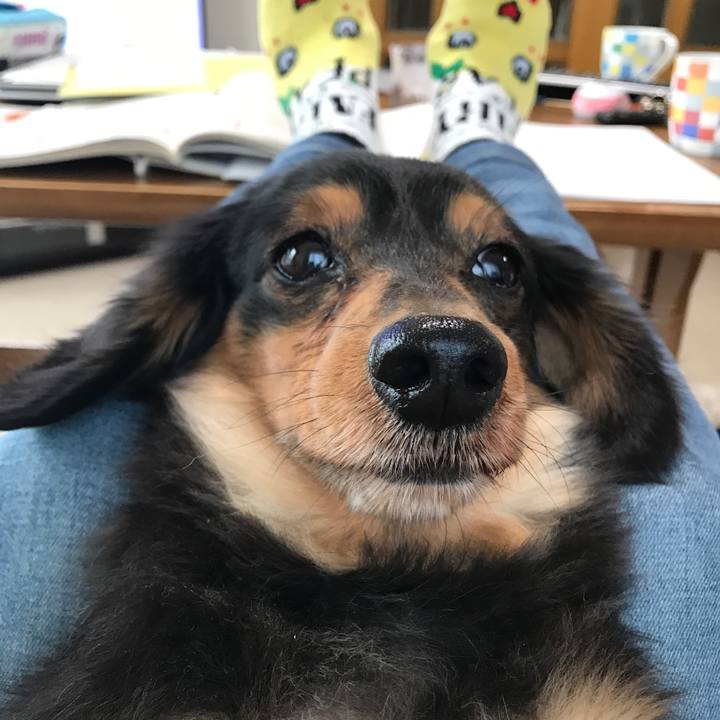 1fbc1c50 e69d 481b 9f38 003a2ac945d4