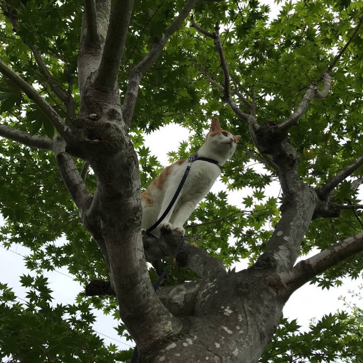 1fbc6b77 2dbe 4762 b265 51273c055c11