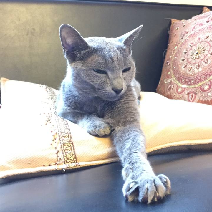 1fbcf4ba ad22 4f66 a8a3 8cf30c829688