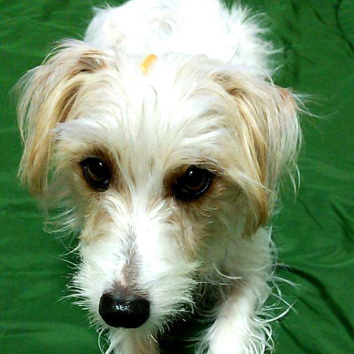 1fbd6f51 f356 4051 b63d 10543b17bf13