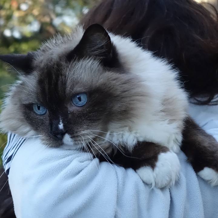 1fbdd293 7a8b 41e5 ab62 413c2650f853