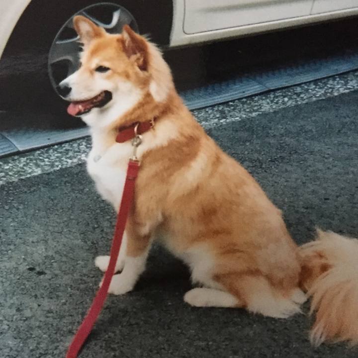 1fbf2ddd 1ed4 4764 905c 0ffdd9e32654