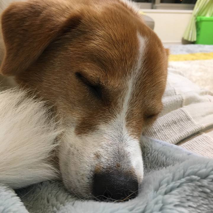 1fbf5c80 ecc2 418b 8f48 edfbcdcf194b