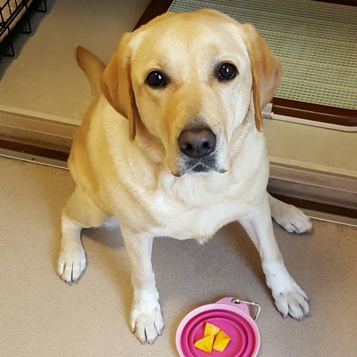 1fbf66a7 81ad 45f1 aeda 2c59d9cd9a80