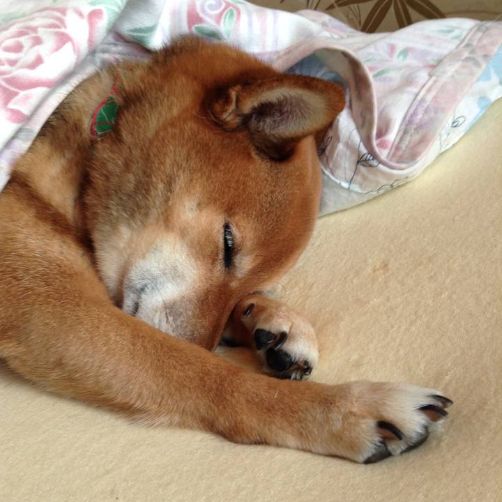 1fbfd1c6 8509 4054 bd61 e9400fcccea7