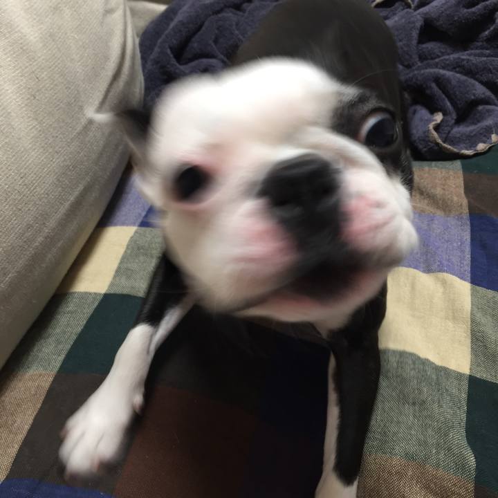 1fbff4ad 2d24 433b a234 a3b256b13fa1