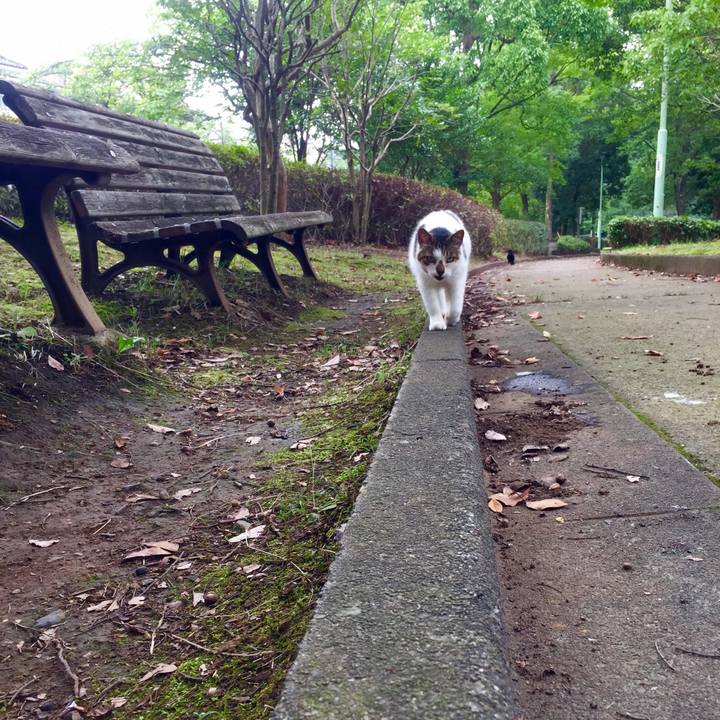 1fc00db1 1a4c 4161 b492 011d1c779f65