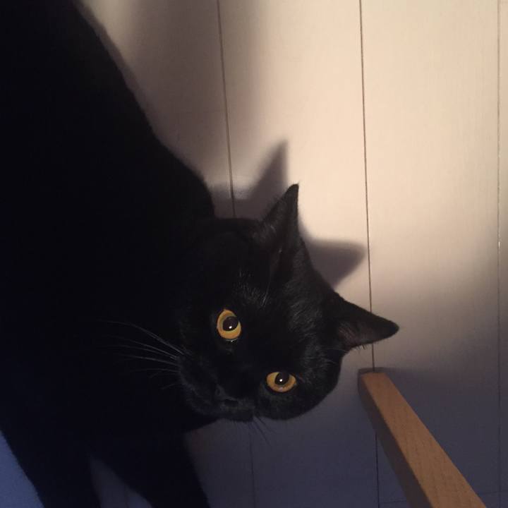 1fc02984 e972 4be1 a21b 31849a6fa80f