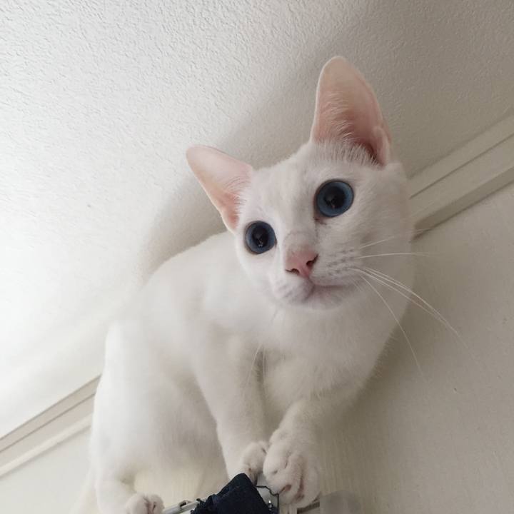 1fc049ef a484 483d 81bd 9e6570d76a14