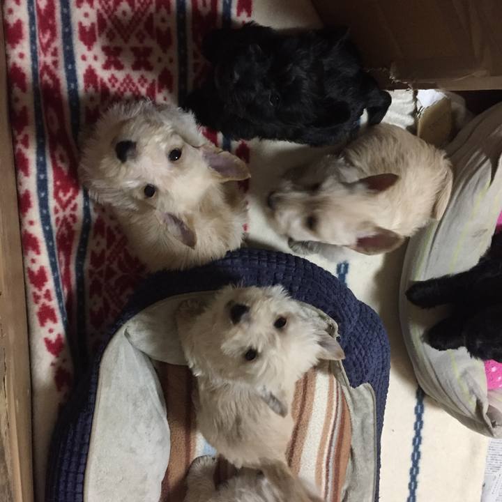 1fc123ff 7e47 44c6 a79e be96f8adb8de