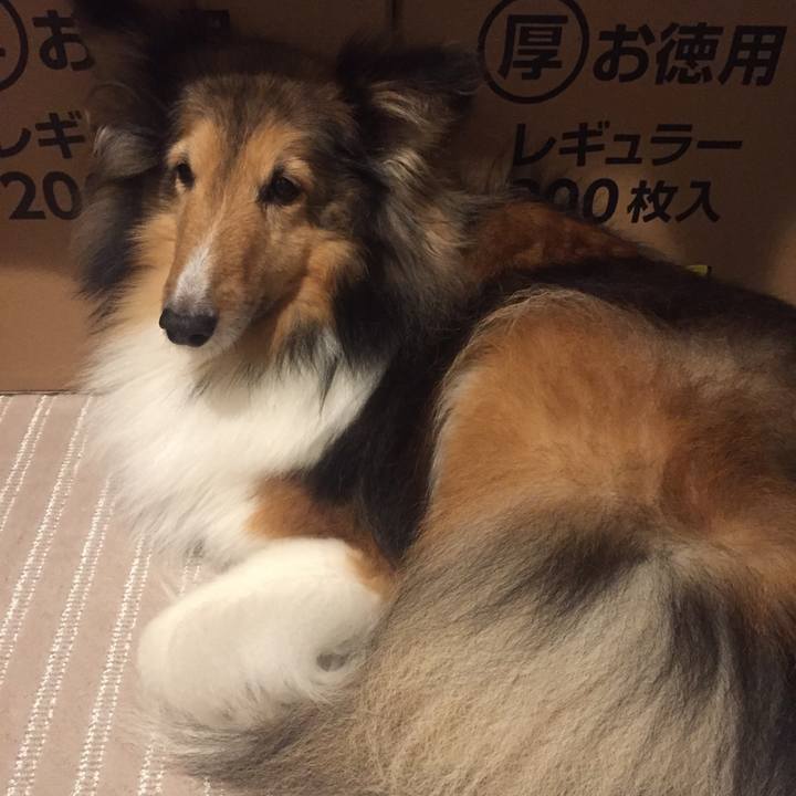 1fc13f4b 0508 4310 afb1 efca6c875708