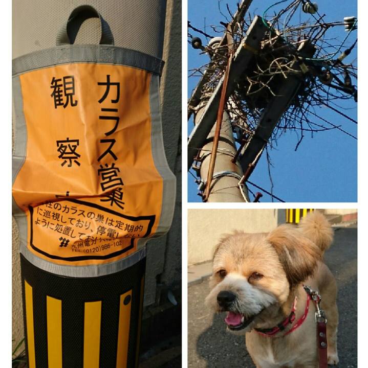 1fc249ae 5213 4a9c ae9b cc53ef98b741