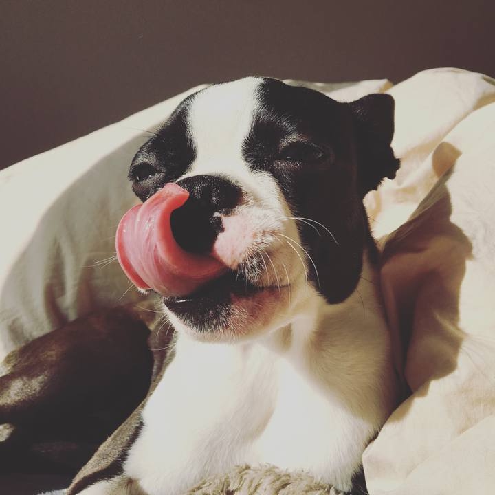 1fc29065 0a26 4c27 9e6f 685eefa8bcf7