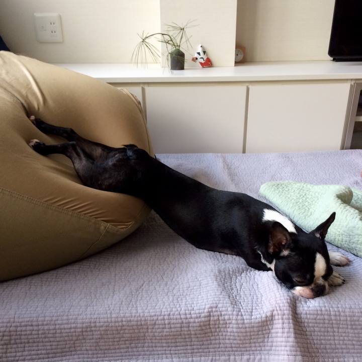 1fc29d23 e9fd 4625 b7f1 eae6cee5411c