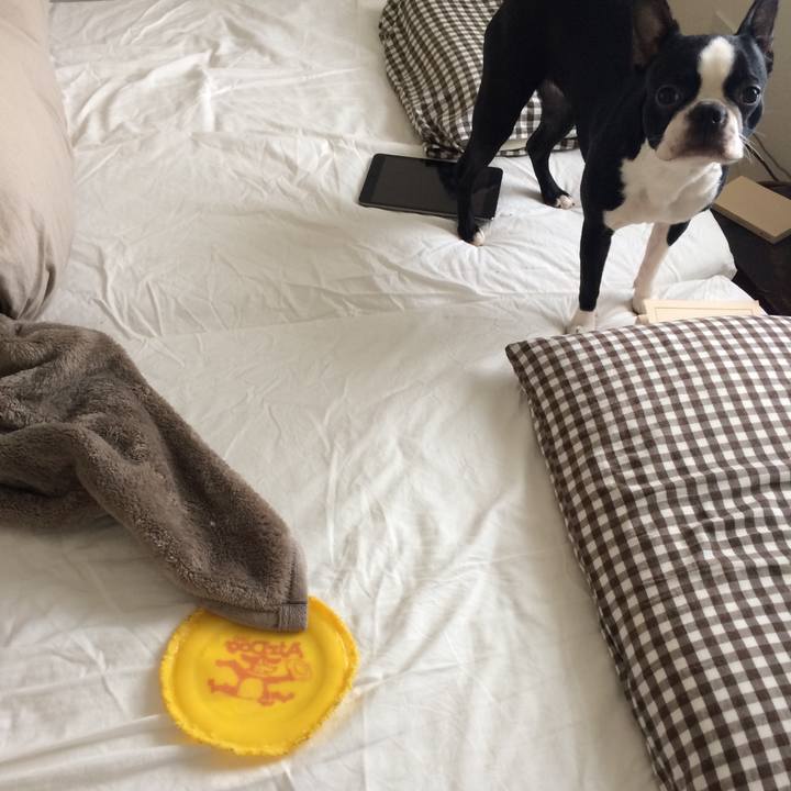 1fc2b615 7a0d 4d35 a014 0f9f67b82233