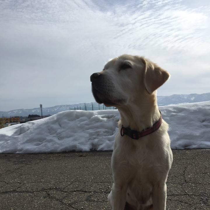 1fc2dc5d 75b8 4df5 9895 5b65ef033652