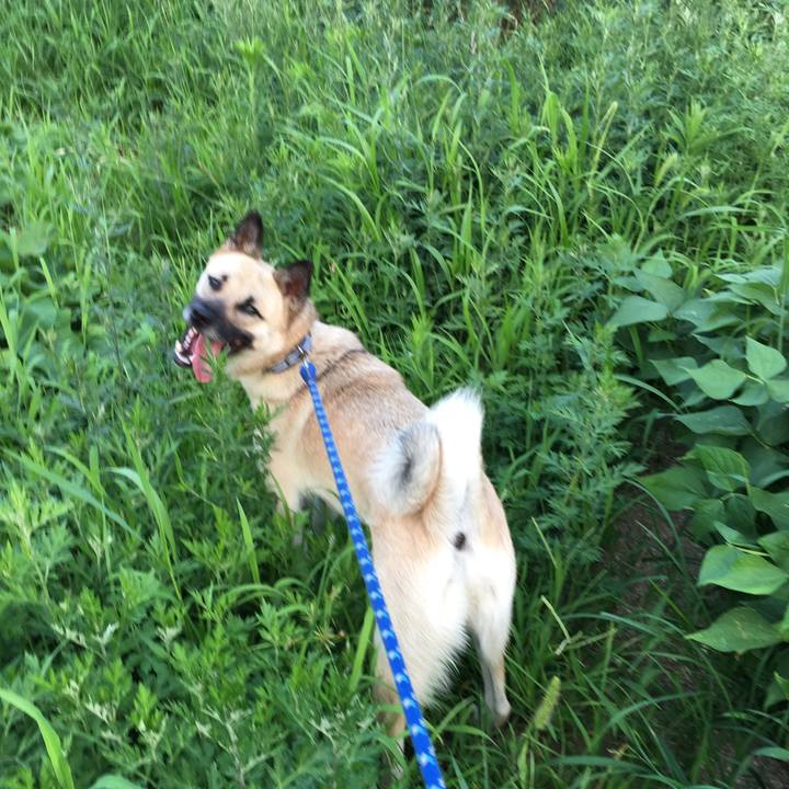 1fc44313 68c5 49f2 be62 bf6db6862e17