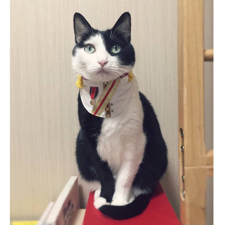 1fc469c5 f266 4195 9d74 f31bba84e914