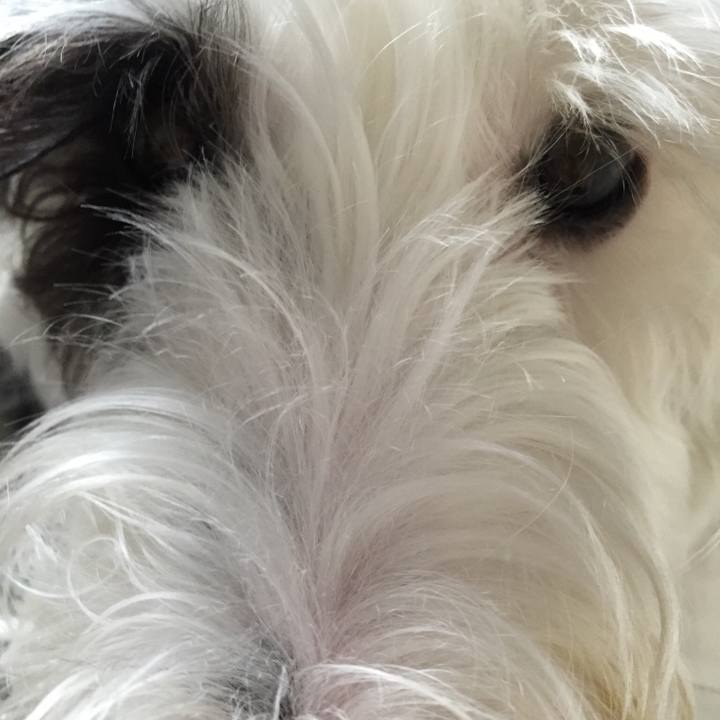 1fc48aaa 8d82 4d80 956a 2a4e9a08a04a