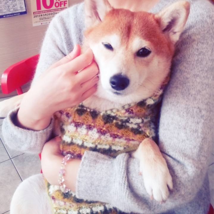 1fc4a6c4 1c1c 4cdb be5f d3e3578d3eac