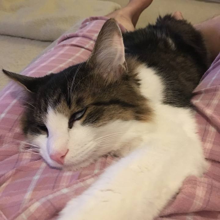 1fc4cf95 1905 4797 b15a aa3477100150