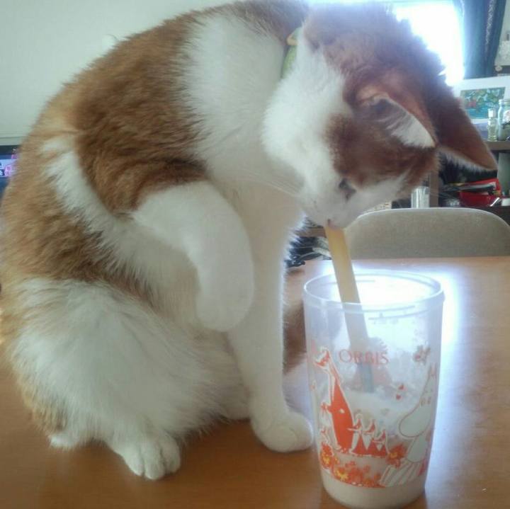 1fc51770 16a3 40a4 be61 3fe9bde89eeb