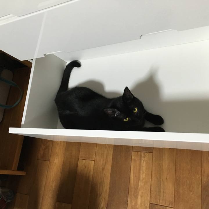 1fc5a467 183e 4ec0 9529 3c5a4936b241