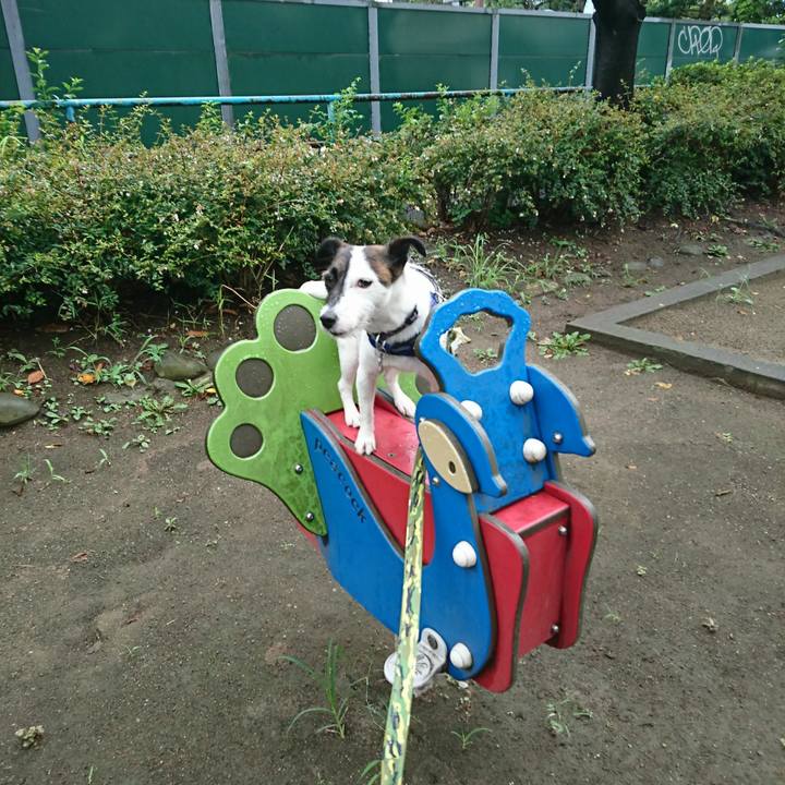 1fc5f495 94a8 4b7a b16a 17e1f789674d